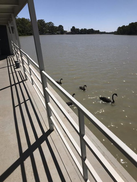 Murray River Queen - New South Wales Tourism  7
