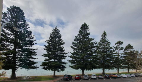 Pier Hotel Port Lincoln - New South Wales Tourism  12