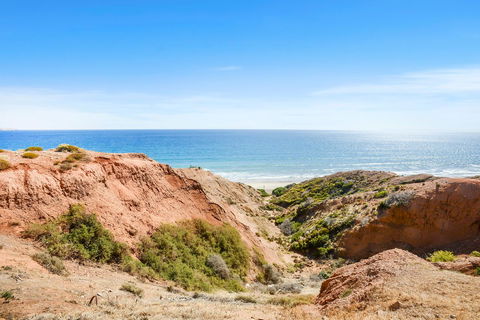 Salomon Sea Haus - Sellicks Beach - C21 SouthCoast Holidays - New South Wales Tourism  1
