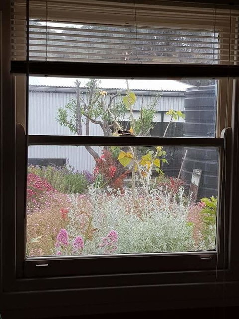 Sinclair Cottage - New South Wales Tourism  24