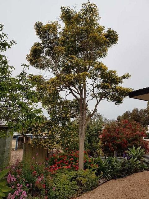 Sinclair Cottage - New South Wales Tourism  25