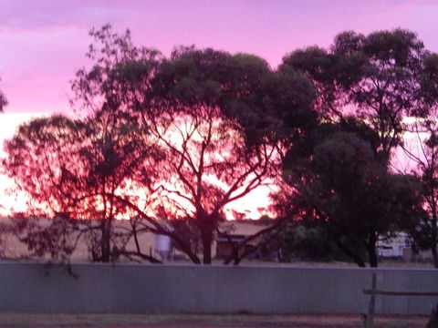 Wudinna Gawler Ranges Motel And Caravan Park - New South Wales Tourism  11