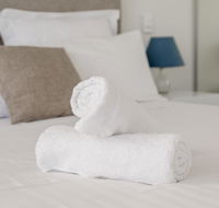Ther-Rich Elegant 1BR Apartment in Walkerville - New South Wales Tourism 