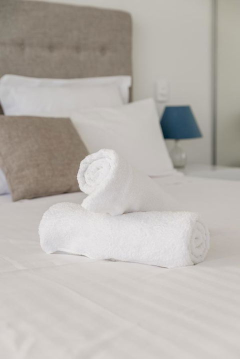 Ther-Rich Elegant 1BR Apartment In Walkerville - New South Wales Tourism  0
