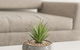 Ther-Rich Elegant 1BR Apartment In Walkerville - thumb 17