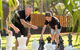 BIG4 Renmark Riverfront Holiday Park - thumb 40