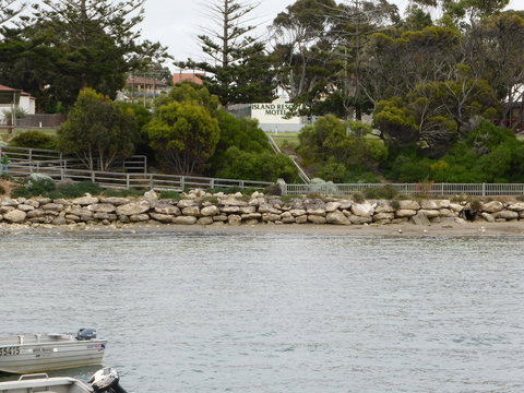 Island Motel Kingscote - New South Wales Tourism  4