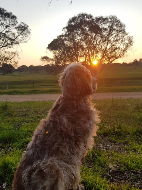 Pennys Road - New South Wales Tourism  7