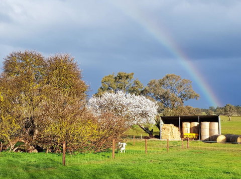 Pennys Road - New South Wales Tourism  18