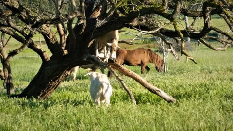 Pennys Road - New South Wales Tourism  8