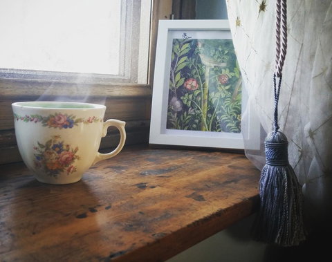 Pennys Road - New South Wales Tourism  3