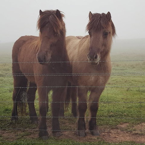 Pennys Road - New South Wales Tourism  9
