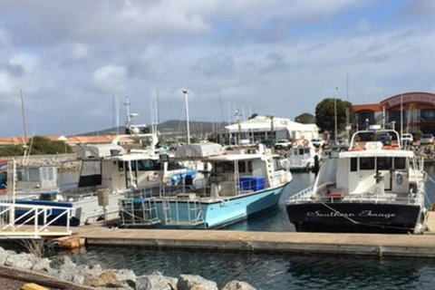 Port Lincoln Shark Apartment 2 - New South Wales Tourism  17