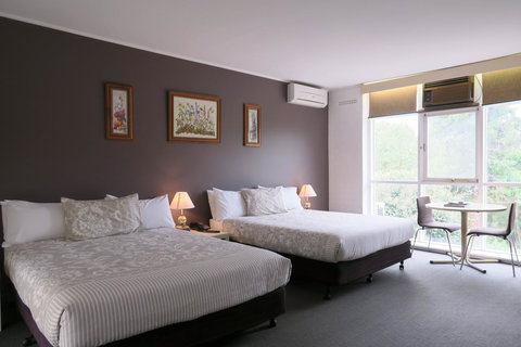 The Lyndoch Motel - New South Wales Tourism  13