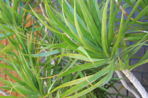 My Port Lincoln Place - New South Wales Tourism  20