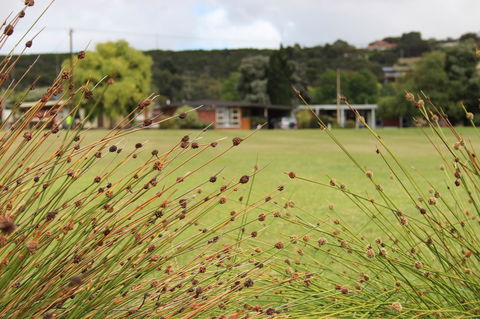 My Port Lincoln Place - New South Wales Tourism  14