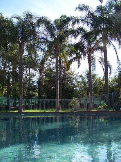 Abcot Inn - New South Wales Tourism  27