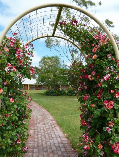 Coonawarra Place Motor Inn - New South Wales Tourism  20