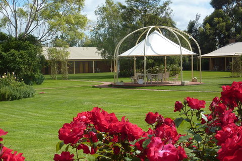 Coonawarra Place Motor Inn - New South Wales Tourism  3