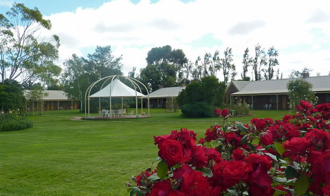 Coonawarra Place Motor Inn - New South Wales Tourism  9