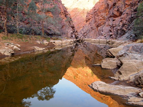 Arkaroola Wilderness Sanctuary - New South Wales Tourism  6
