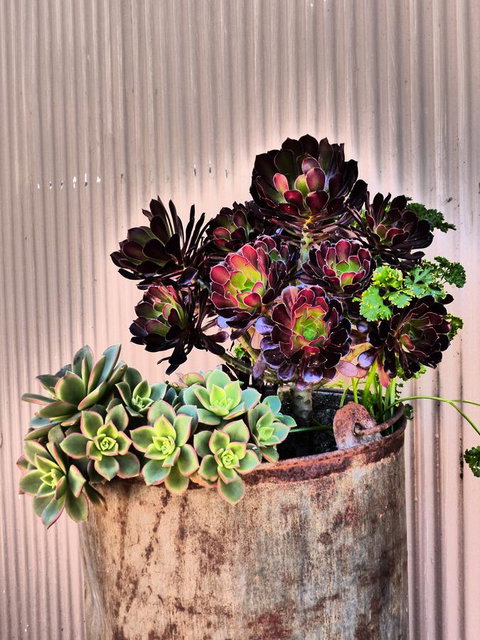 Andy\'s Accommodation - New South Wales Tourism  13