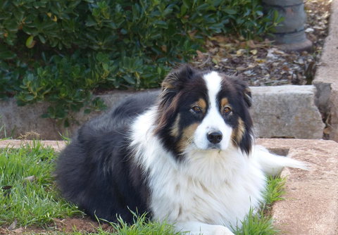 Andy\'s Accommodation - New South Wales Tourism  17