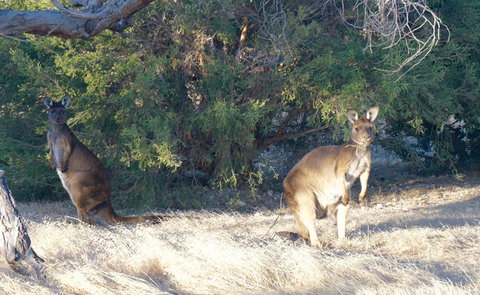 The Cape - New South Wales Tourism  10