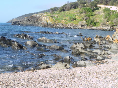 Ashendens At Penneshaw - New South Wales Tourism  2