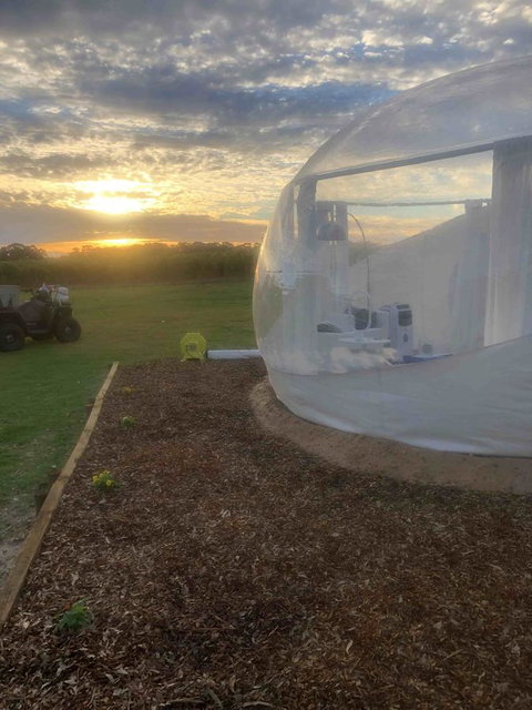 Coonawarra Bubble Tents - New South Wales Tourism  6