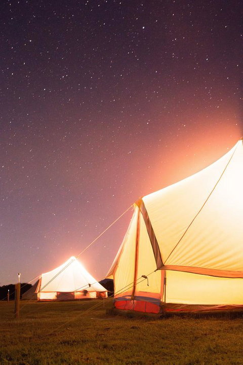 Coonawarra Bubble Tents - New South Wales Tourism  7