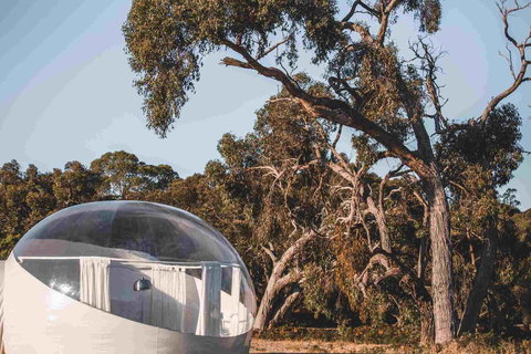 Coonawarra Bubble Tents - New South Wales Tourism  10