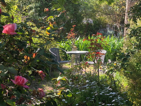 Treasured Memories Cottage - New South Wales Tourism  17