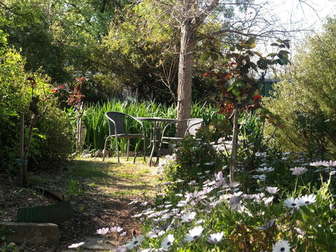 Treasured Memories Cottage - New South Wales Tourism  23