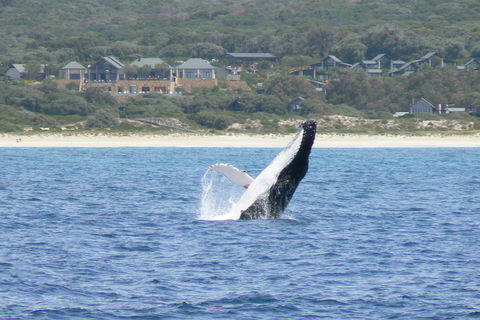 Pullman Bunker Bay Resort Margaret River - New South Wales Tourism  25
