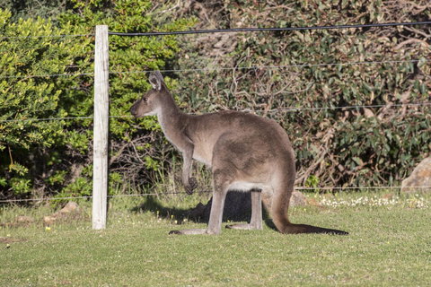 Chandlers Smiths Beach Villas - New South Wales Tourism  15