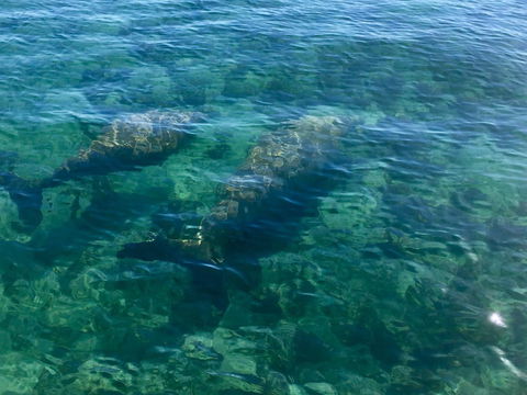 Escape 2 Exmouth - New South Wales Tourism  28