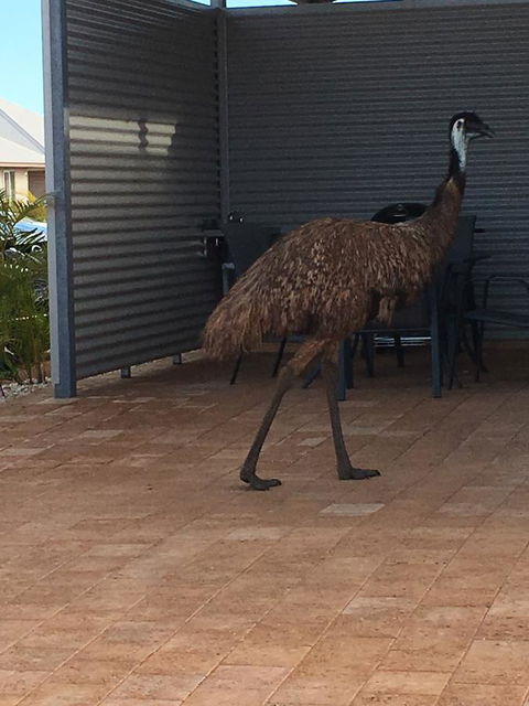 Escape 2 Exmouth - New South Wales Tourism  15