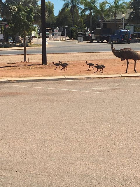 Escape 2 Exmouth - New South Wales Tourism  29