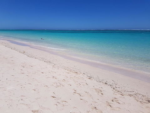 Escape 2 Exmouth - New South Wales Tourism  31