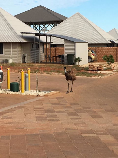 Escape 2 Exmouth - New South Wales Tourism  16