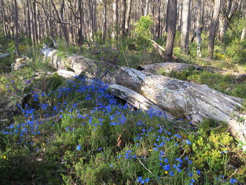 Simala Retreat - New South Wales Tourism  1