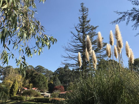 Forest Lodge Resort - New South Wales Tourism  24