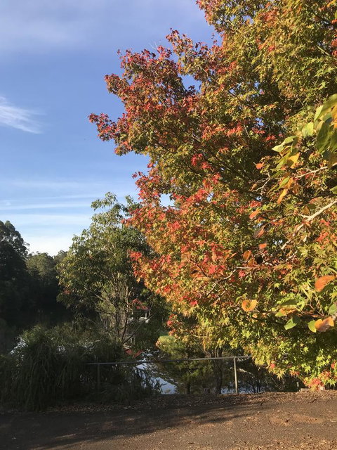 Forest Lodge Resort - New South Wales Tourism  32