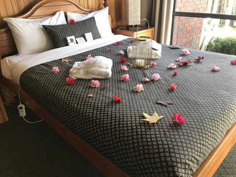 Forest Lodge Resort - New South Wales Tourism  3