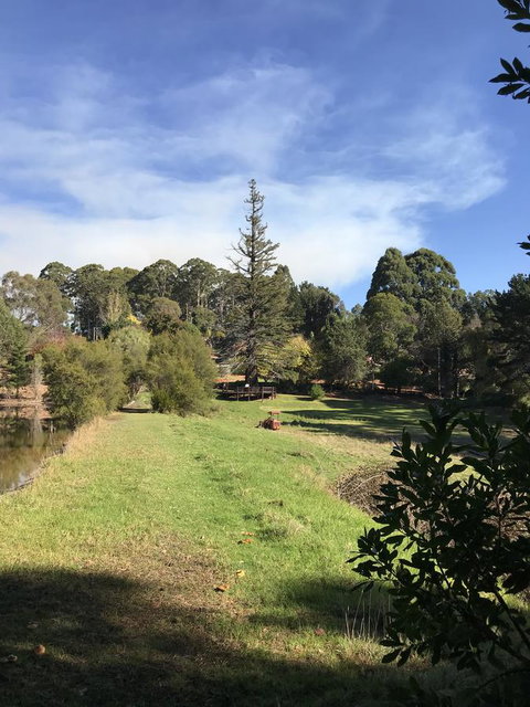 Forest Lodge Resort - New South Wales Tourism  31