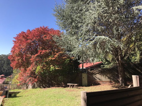 Forest Lodge Resort - New South Wales Tourism  42