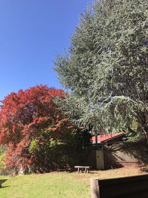 Forest Lodge Resort - New South Wales Tourism  35