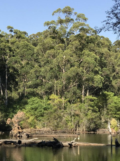 Forest Lodge Resort - New South Wales Tourism  22