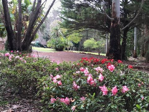 Forest Lodge Resort - New South Wales Tourism  12